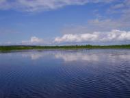 Гатна з panoramio.com