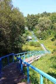 Сорокопень з panoramio.com