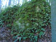 Темирівці з panoramio.com