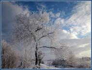 Перлявка з panoramio.com