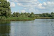 Хрещатик з panoramio.com - Хрещатик