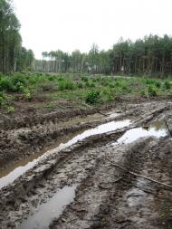 Рудня-Гацьківка з panoramio.com