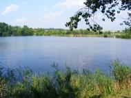 Примощаниця з panoramio.com