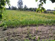 Костянтинівка з panoramio.com