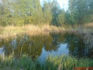 Піски з panoramio.com