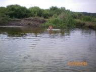 Кицівка з panoramio.com