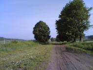 Блюдники з panoramio.com