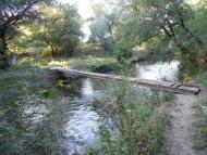 Краснодарський з panoramio.com