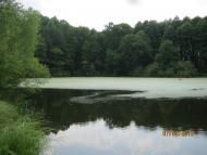 Комунарівка з panoramio.com