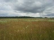 Сошники з panoramio.com