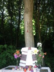 Бойки з panoramio.com