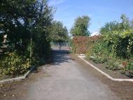 Снігурівка - Останні фото