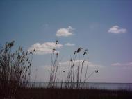 Комишівка з panoramio.com