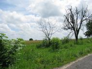 Ракова з panoramio.com