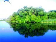 Клугино-Башкирівка з panoramio.com