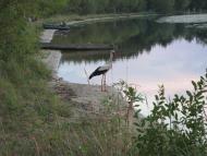 Котира з panoramio.com