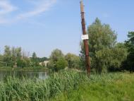 Квітки з panoramio.com