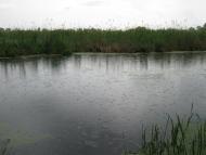 Дем'янці з panoramio.com - Дем'янці