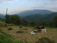 Лумшори з panoramio.com