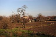 Павлівка з panoramio.com