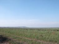 Черкаське з panoramio.com