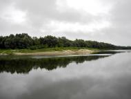 Купчичі з panoramio.com