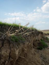 Дерезівка з panoramio.com