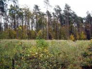 Верхутка з panoramio.com