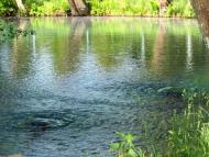 Оконськ з panoramio.com