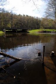 Власівка з panoramio.com