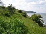Широке з panoramio.com