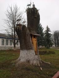 Глибока з panoramio.com