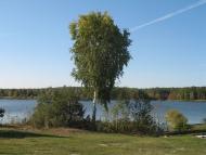 Перлявка з panoramio.com