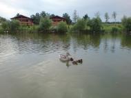 Мила з panoramio.com