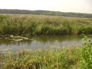 Заострів з panoramio.com