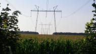 Майданецьке з panoramio.com - Maydanetske