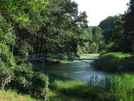 Зелений Гай з panoramio.com