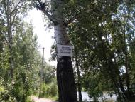 Кущинці з panoramio.com