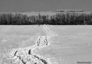 Охотин з panoramio.com