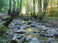 Зарічне з panoramio.com