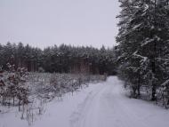 Курортне з panoramio.com