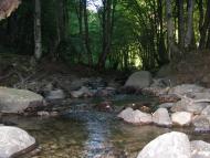 Зарічне з panoramio.com