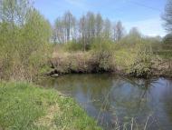 Собичево - Последние фото