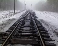 Шепелівка з panoramio.com