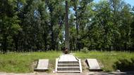 Ріпки з panoramio.com - Репки