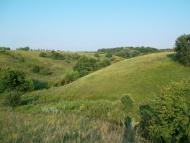 Данилове з panoramio.com