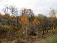 Загірське з panoramio.com