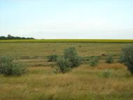 Мишурин Ріг з panoramio.com - Мишурин Рог