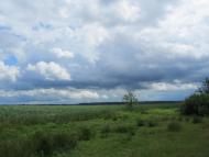 Самари-Оріхові з panoramio.com