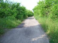 Алтинівка з panoramio.com